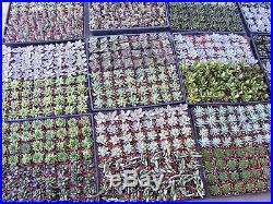 20 Assorted Succulent Plants 2 inch pot Many varieties
