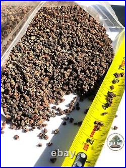 40 lbs 1/8-1/4 Horticultural Lava Rock for Cactus and Bonsai Tree Soil