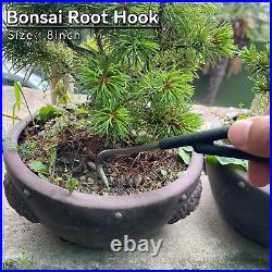 6-Piece Bonsai Tool Set, Concave Cutter, Knob Cutter, Jin Pliers, Wire Cutter