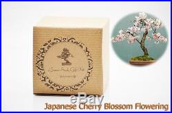 9GreenBox Japanese Cherry Blossom Flowering Bonsai Seed Kit- Gift Complete K