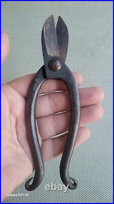 Antique Japanese Meiji Period Bonsai Tree Scissors Shears Hand Forged SIGNED
