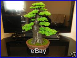 Artificial Pine Bonsai Tree Pot Home Decor Fake Office Desk Plant Plastic Asian