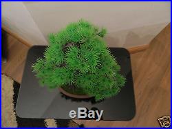 Artificial Pine Bonsai Tree Pot Home Decor Fake Office Desk Plant Plastic Asian