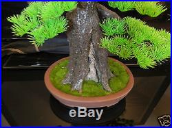 Artificial Pine Bonsai Tree, Very Realistic! Hand Made! Japanese, Chinese, Bonzi
