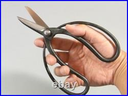 Bonsai Kaneshin Scissors Large Hand Made from Japan Seki #42A