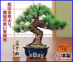 Bonsai Pine Matsu Replica Handmade in Realistic Artificial imitation #EMS Japan