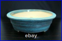 Bonsai Pot Japanese Tokoname REIHO OVAL 10(26.2cm) green Oribe T015