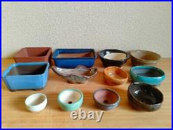 Bonsai Pot Set of 12 pcs Varying Shapes Vibrant Colors