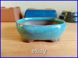 Bonsai Pot Set of 12 pcs Varying Shapes Vibrant Colors