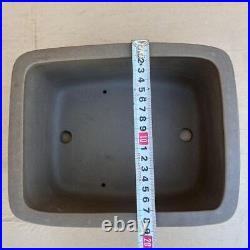 Bonsai Pot Signed Deep Pot Rectangler Width 22.5 cm / 8.86 in