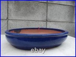 Bonsai Pot Signed Murabayashi 15.2W Oval Glazed