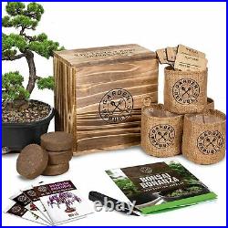 Bonsai Tree Seed Starter Kit