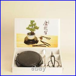 Bonsai Turntable & Care tools 3-piece set NEW From Japan