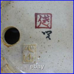 Bonsai pot Daisuke with box From Japan F/S