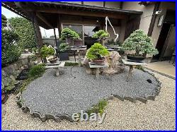 Bonsai pot Tokoname Yamaaki Japanese Rectangle Brown Medium 13.8×10.6×3.5 in