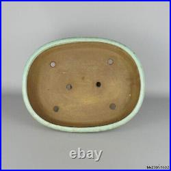 Bonsai pot Tokoname Yoshimura Toen Japanese oval Large 16.3×12.8×2.4 in F/S