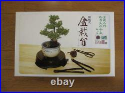 Bonsai tools 10-piece iron bonsai set Bonsai tool set Kikukawa