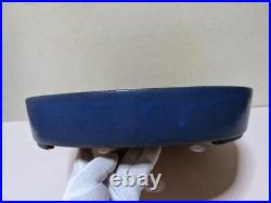 Chinese Bonsai Pot Oval Glazed Signed Width 53 cm / 20.87 in