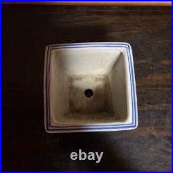 Dyeing Blue Orchid Bonsai Pot Pottery ware Chinese pot Imari Sometsuke 12 × 12