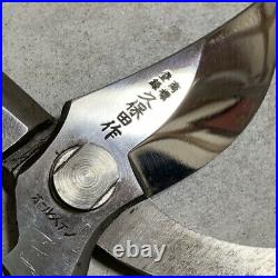EXTREMELY RARE Bonsai Scissors for Pruning by Kubota F/S from Japan