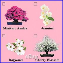 Eves Flowering Cherry Blossom Bonsai Seed Kit Eves Garden, Inc New