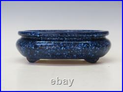 Genuine Japanese Bonsai pot Aiba Koyo Blue W19cm ×L17×H6cm from Tokyo
