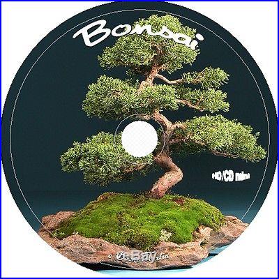 Growing Bonsai Trees on CD seed trim sell garden plant easy everything you need
