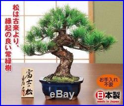 Hand craft Bonsai Replica Mt. Fuji Pine tree Matsu Good fortune SuzukiToyoha 989