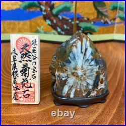 JAPANESE BONSAI SUISEKI Chrysanthemum Stone 756335mm 230g #S49
