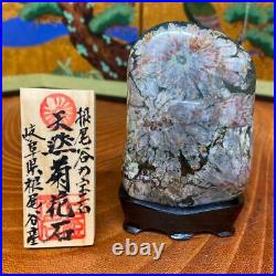 JAPANESE BONSAI SUISEKI Chrysanthemum Stone F/Neodani 1006035mm 310g #S202