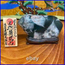 JAPANESE BONSAI SUISEKI Chrysanthemum Stone F/Neodani 1108035mm 320g #S200