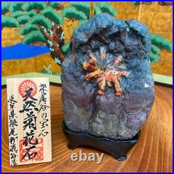 JAPANESE BONSAI SUISEKI Chrysanthemum Stone F/Neodani 16010060mm 1060g #S186