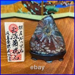 JAPANESE BONSAI SUISEKI Chrysanthemum Stone F/Neodani 807025mm 180g #S152