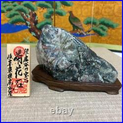 JAPANESE BONSAI SUISEKI Kikkaseki/Chrysanthemum Stone 1409585mm 1060g #368
