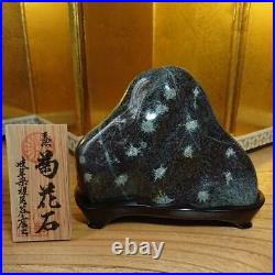 JAPANESE BONSAI SUISEKI Kikkaseki/Chrysanthemum Stone 17065H130mm 1520g #S232