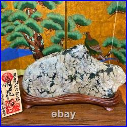 JAPANESE BONSAI SUISEKI Kikkaseki/Chrysanthemum Stone 18011030mm 770g #360