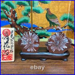 JAPANESE BONSAI SUISEKI Kikkaseki/Chrysanthemum Stone 505020/504520mm #362