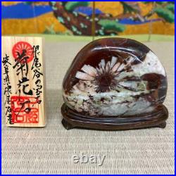JAPANESE BONSAI SUISEKI Kikkaseki/Chrysanthemum Stone 807040mm 340g #418
