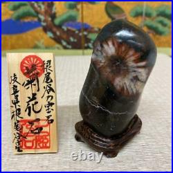 JAPANESE BONSAI SUISEKI Kikkaseki/Chrysanthemum Stone 905040mm 220g #388