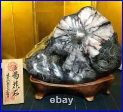 Japanese BONSEKI Bonsai stone KIKKA-SEKI Natural stone SUISEKI W26cm 8.1kg