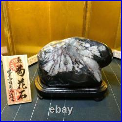 Japanese BONSEKI Bonsai stone KIKKA-SEKI SUISEKI Small size W15cm 2.47kg