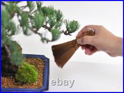 Japanese Bonsai Tool 10-pcs Set wire cutter bonsai scissors broom Made in Japan