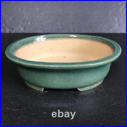 Japanese Bonsai pot TOKONAME SHIBAKATSU Oval shape W18cm H5.5cm Green glazed
