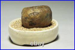 Japanese Vintage Suiseki Water Reservoir Stone / W10×H 7cm, 740g