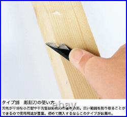 Japanese bonsai / chisel sword type / tools used for Jin Shari carving
