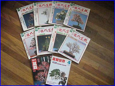 Japanese vintage magazines The Contemporary Bonsai late 70's early 80's
