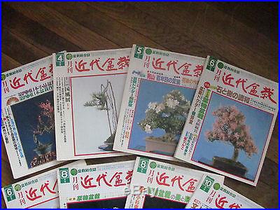 Japanese vintage magazines The Contemporary Bonsai late 70's early 80's