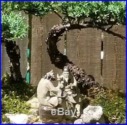 Juniper Bonsai tree Forest. Beautiful composition, very peaceful. With Mudmen too