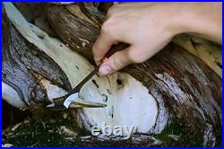 KIKU Jinshari Bonsai Knife Jin Shari Yamadori Bark Deadwood Carving Tool