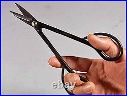 Kaneshin Bonsai 5 Tool Set Starter Cutting Scissors Made in Japan Gardening